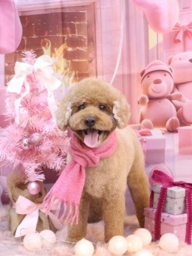 20241230ジョンくん